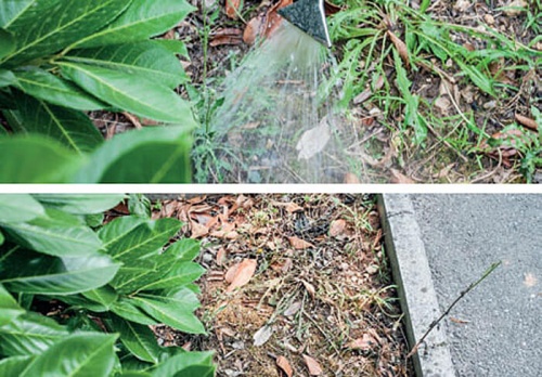 Профессиональная автономная мойка с подогревом воды для удаления сорняков BWK BAT фото 10